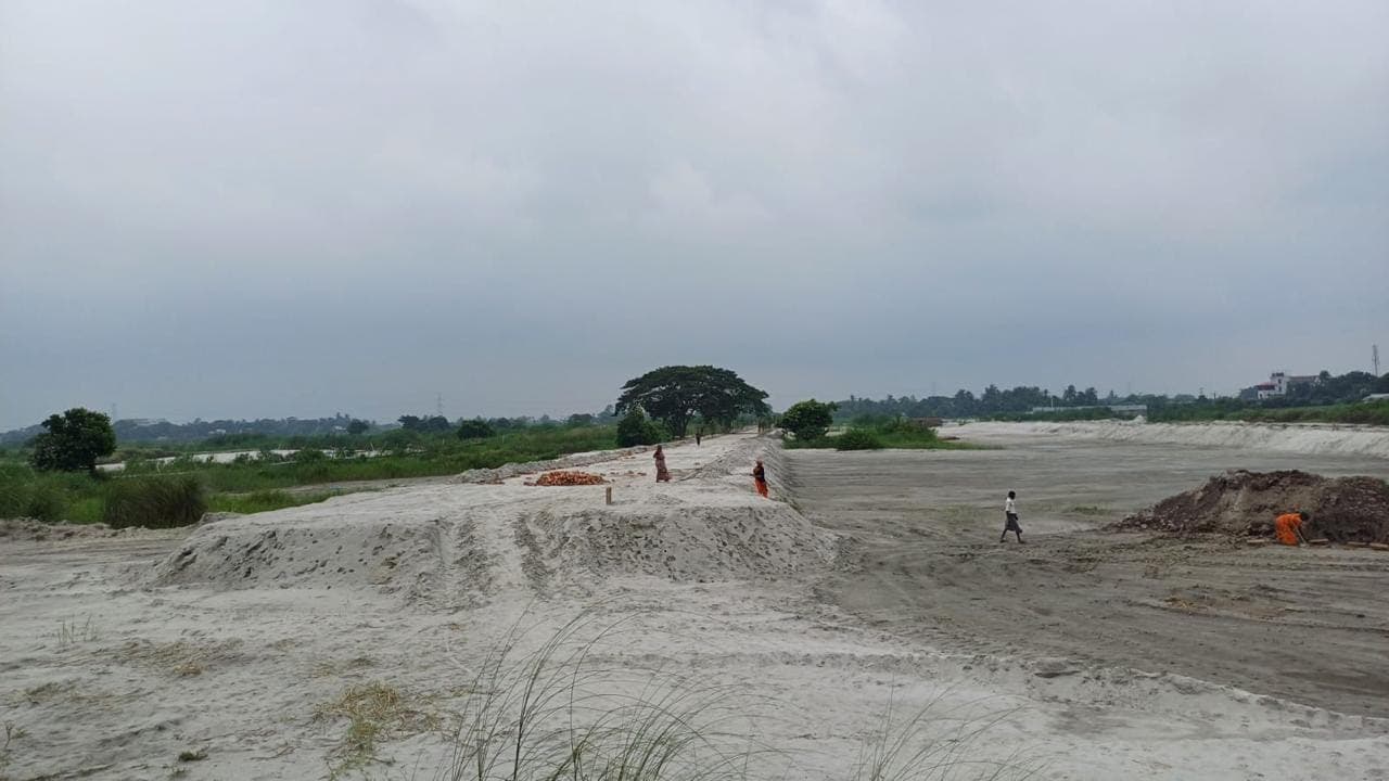 Current condition of prepared land