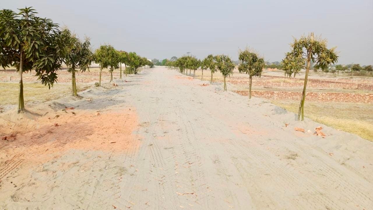 Internal project road