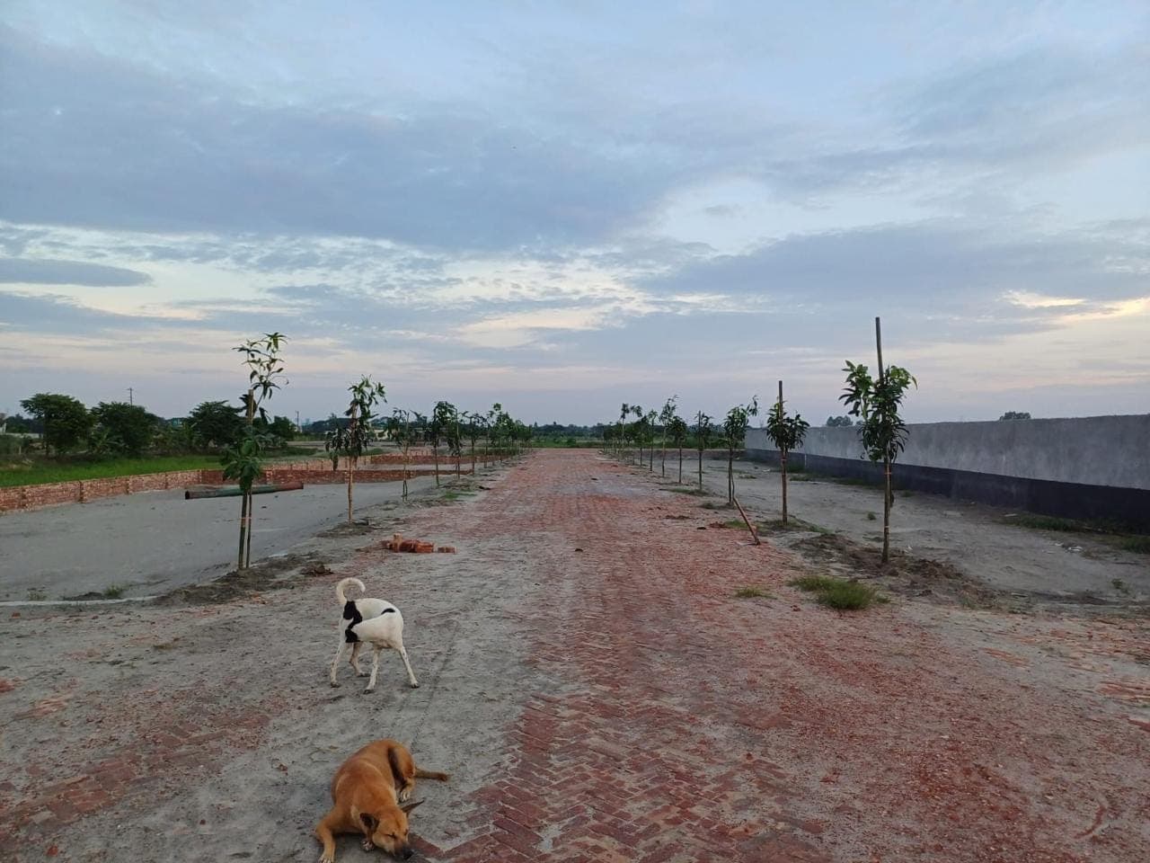 Road development progress