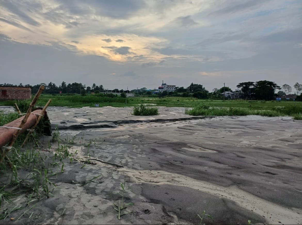 Wide view of prepared land