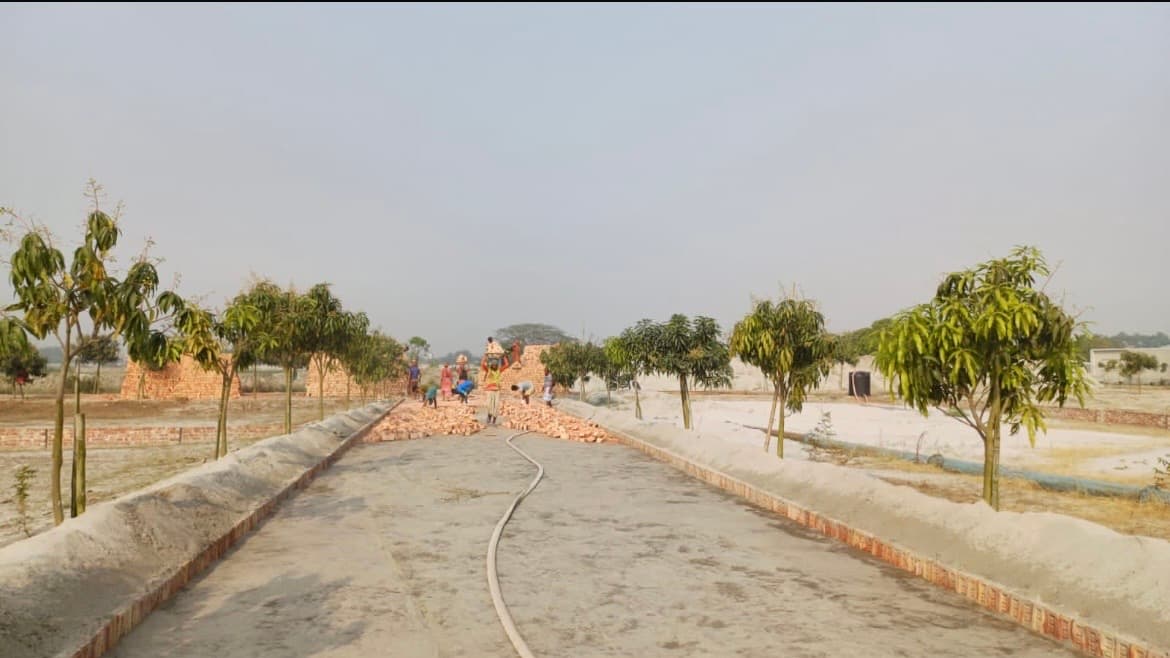 Internal road development