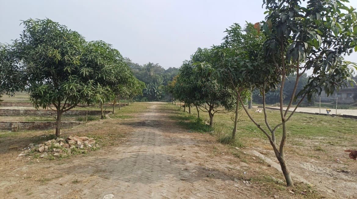 Site view at Abakash Lake View Society